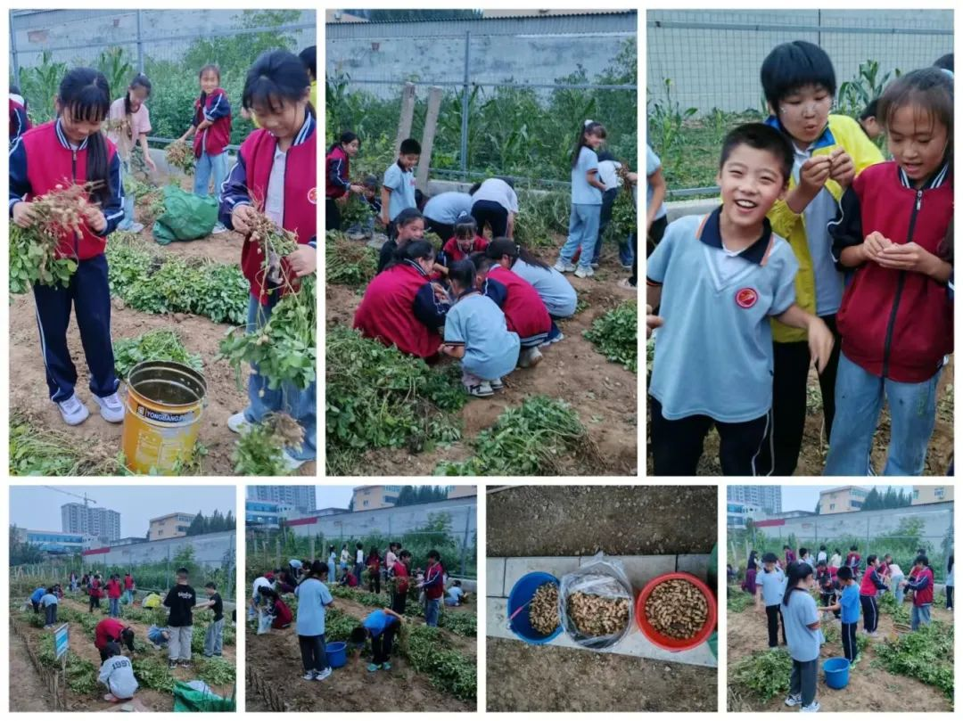 微信图片_2025-09-01_152613_274.png