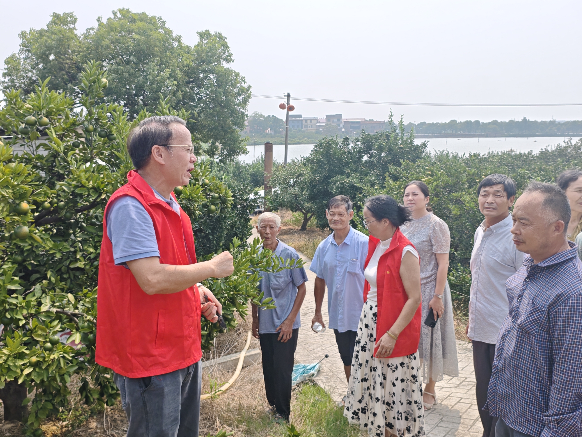 果园现场指导_副本.jpg