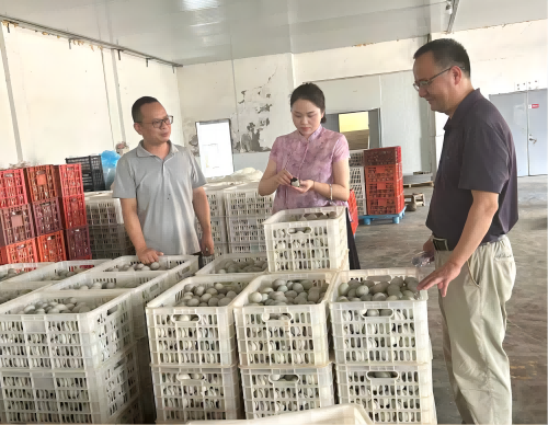 1758169860984086815.jpg 2.jpg