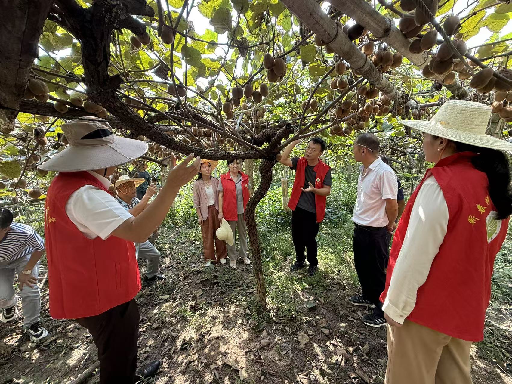 1758614770281011371.jpg 果园指导.jpg