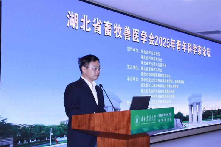 1761120546976080091.png 图片1.png