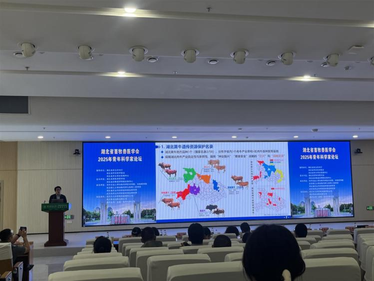 1761120556735088378.png 图片2.png