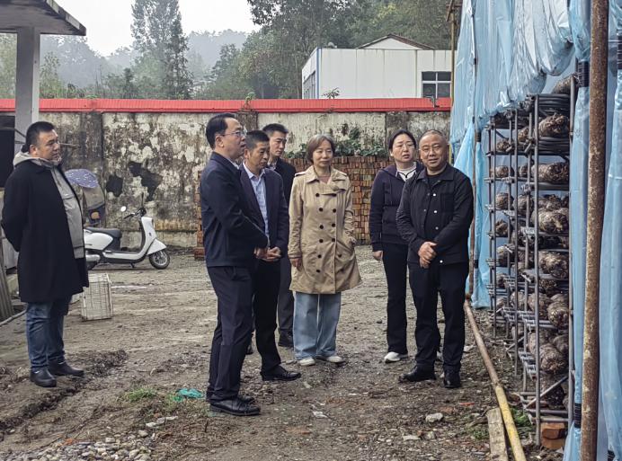 1761276892064034545.jpg 截图_选择区域_20251024113333.jpg