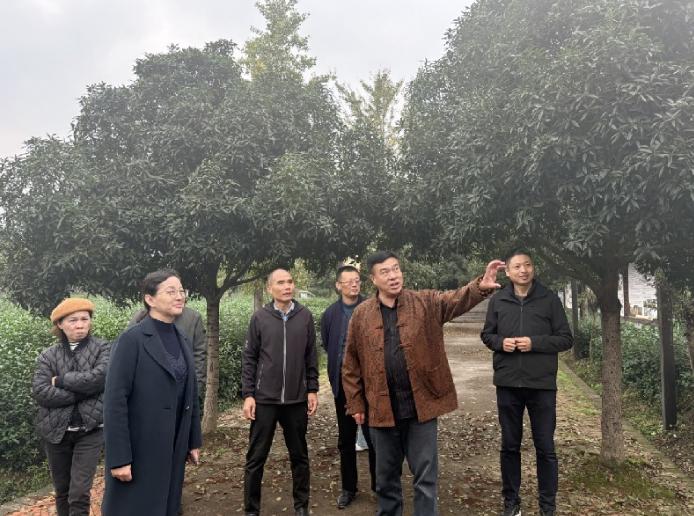 1761277543400079604.jpg 截图_选择区域_20251024114357.jpg