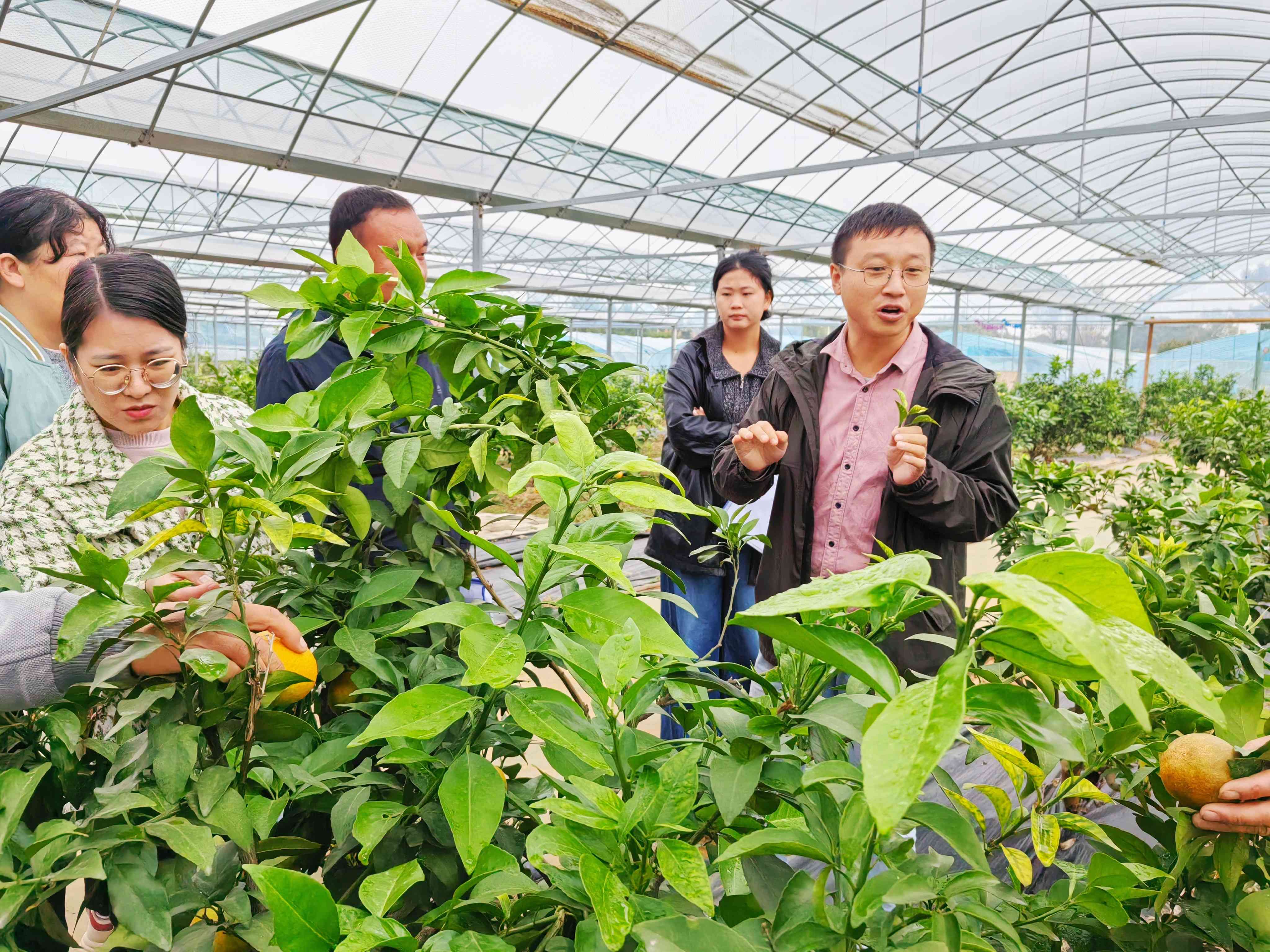 1761876597583099539.jpg 图片5_副本.jpg