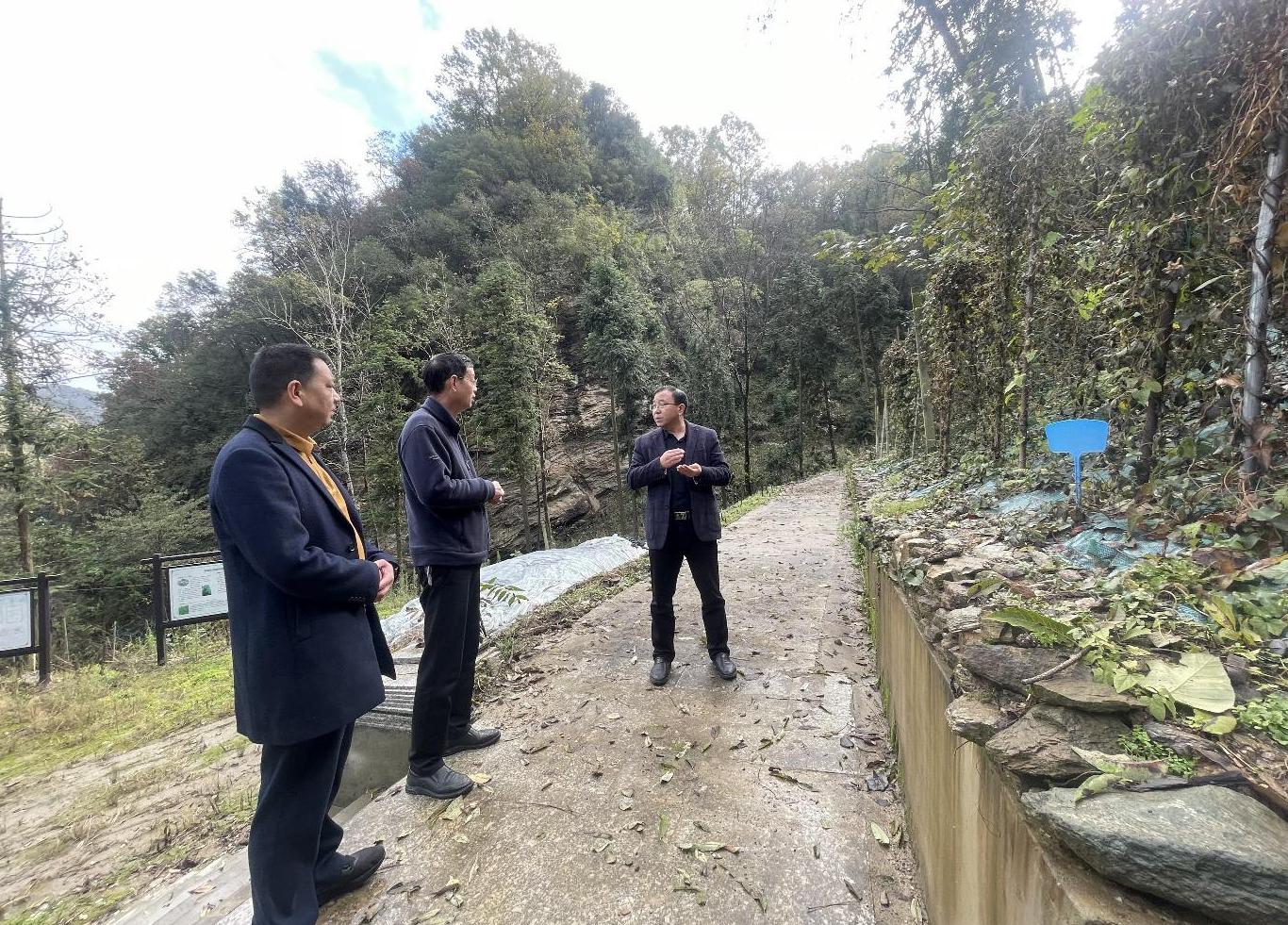 1762154906926080413.jpg 截图录屏_选择区域_20251103152820.jpg